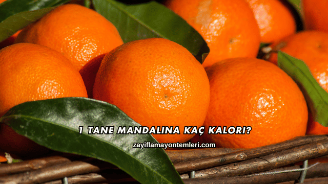 1 Tane Mandalina Kaç Kalori?