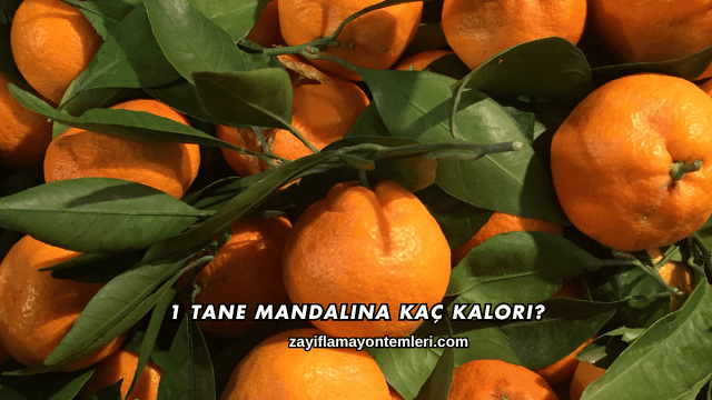 1 Tane Mandalina Kaç Kalori?