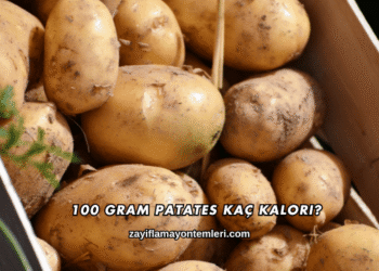 100 Gram Patates Kaç Kalori?