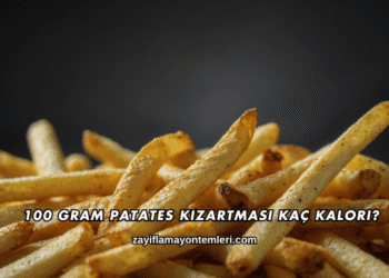 100 Gram Patates Kızartması Kaç Kalori?