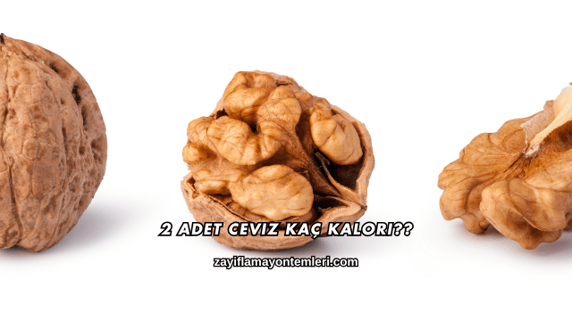 2 Adet Ceviz Kaç Kalori?