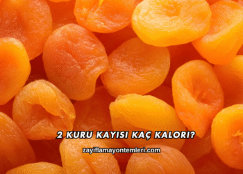 2 Kuru Kayısı Kaç Kalori?
