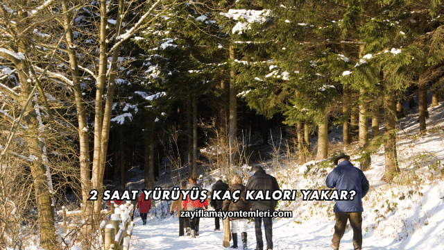 2 Saat Yürüyüş Kaç Kalori Yakar?