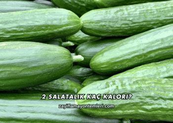 2 Salatalık Kaç Kalori?