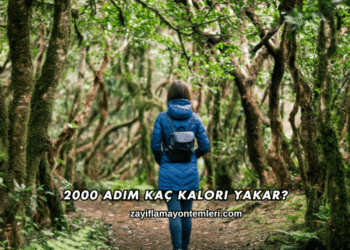 2000 Adım Kaç Kalori Yakar?