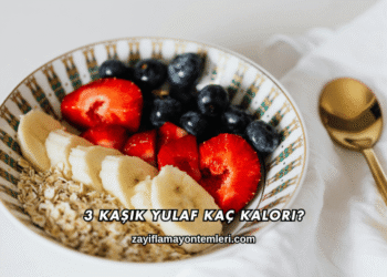 3 Yemek Kaşığı Yulaf Kaç Kalori?
