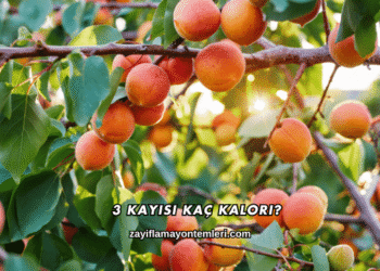 3 Kayısı Kaç Kalori?