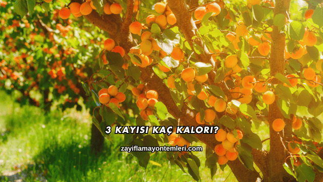 3 Kayısı Kaç Kalori?