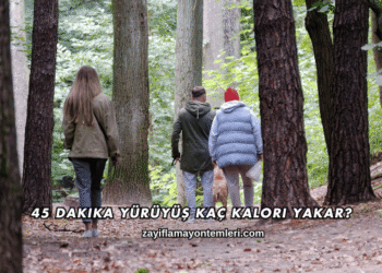 45 Dakika Yürüyüş Kaç Kalori Yakar?