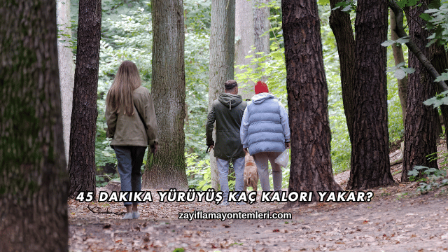 45 Dakika Yürüyüş Kaç Kalori Yakar?