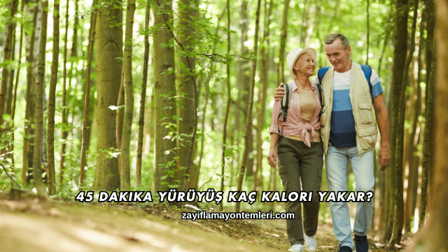 45 Dakika Yürüyüş Kaç Kalori Yakar?