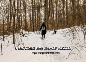 5 Bin Adım Kaç Kalori Yakar?