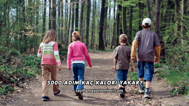 5000 Adım Kaç Kalori Yakar?