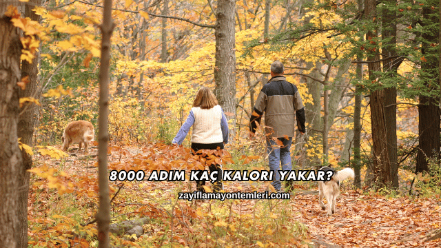 8000 Adım Kaç Kalori Yakar?