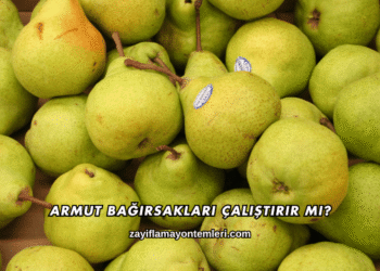 Armut Bağırsakları Çalıştırır mı?