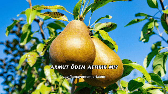 Armut Ödem Attırır mı?