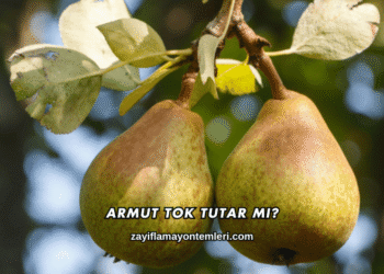 Armut Tok Tutar mı?