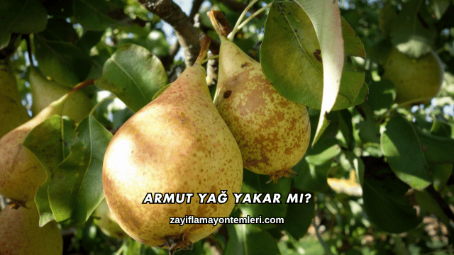 Armut Yağ Yakar mı?