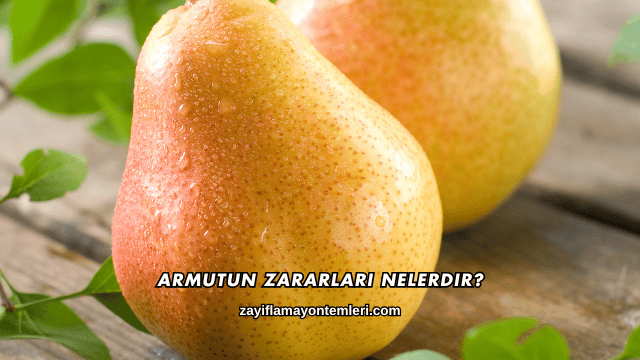 Armutun Zararları Nelerdir?