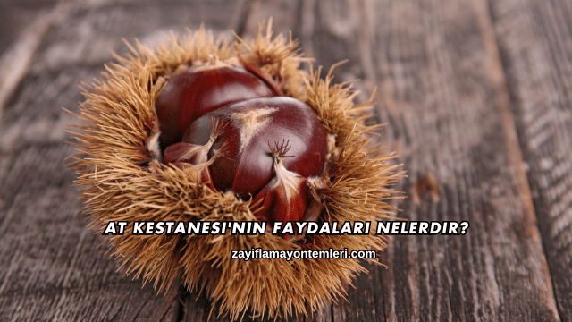 At Kestanesi'nin Faydaları Nelerdir?