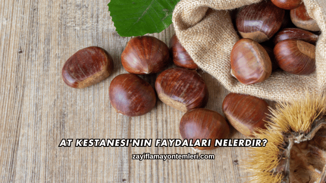At Kestanesi'nin Faydaları Nelerdir?