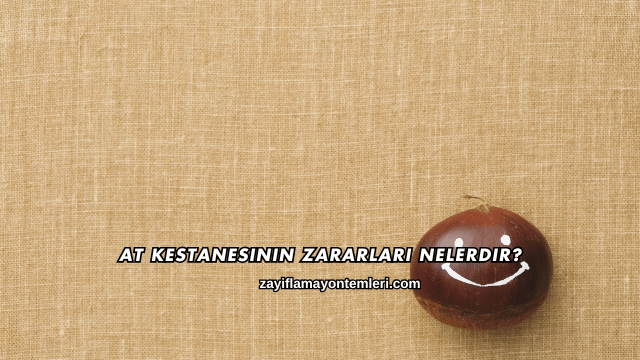 At Kestanesinin Zararları Nelerdir?