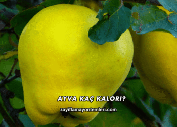 Ayva Kaç Kalori?