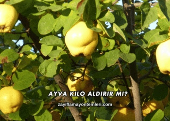 Ayva Kilo Aldırır mı?