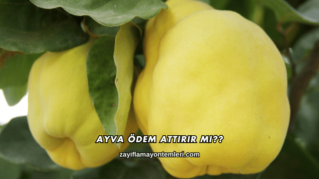 Ayva Ödem Attırır mı?