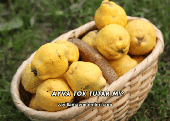 Ayva Tok Tutar mı?