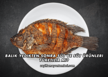 Balık Yedikten Sonra Süt ve Süt Ürünleri Tüketilir mi?