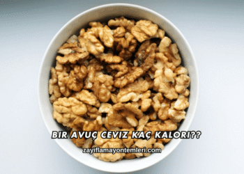 Bir Avuç Ceviz Kaç Kalori?