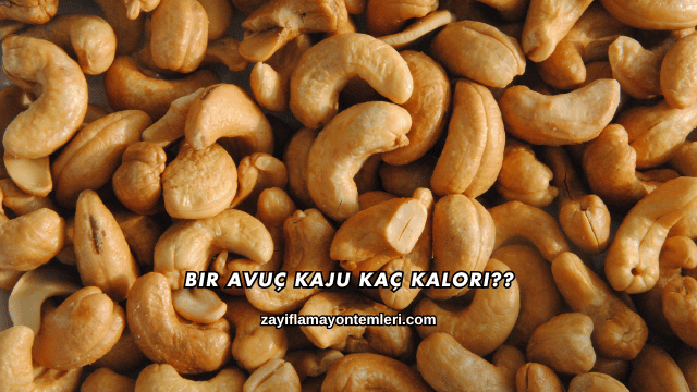 Bir Avuç Kaju Kaç Kalori