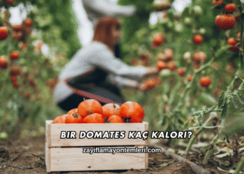 Bir Domates Kaç Kalori?