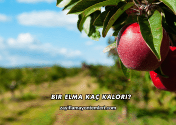 Bir Elma Kaç Kalori?