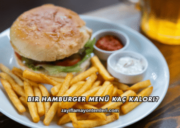 Bir Hamburger Menü Kaç Kalori?