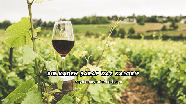 Bir Kadeh Şarap Kaç Kalori?