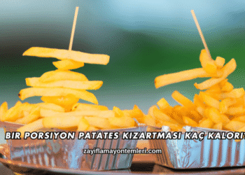 Bir Porsiyon Patates Kızartması Kaç Kalori?