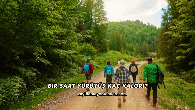 Bir Saat Yürüyüş Kaç Kalori?