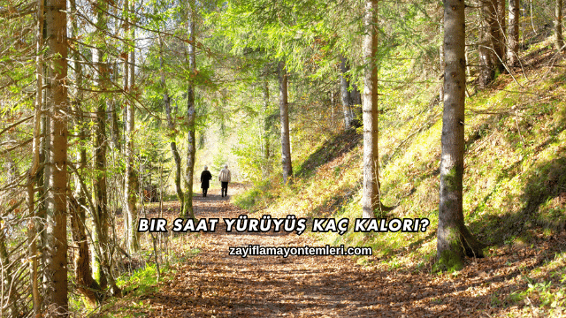 Bir Saat Yürüyüş Kaç Kalori?