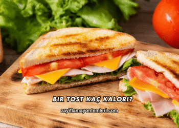 Bir Tost Kaç Kalori?