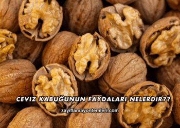 Ceviz Kabuğunun Faydaları Nelerdir?
