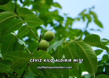 Ceviz Kilo Aldırır mı?