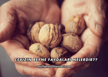 Cevizin Beyne Faydaları Nelerdir?