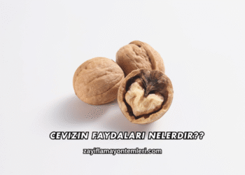 Cevizin Faydaları Nelerdir?
