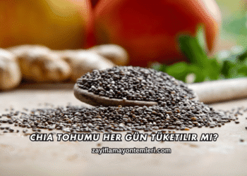 Chia Tohumu Her Gün Tüketilir mi?
