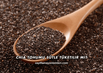 Chia Tohumu Sütle Tüketilir mi?