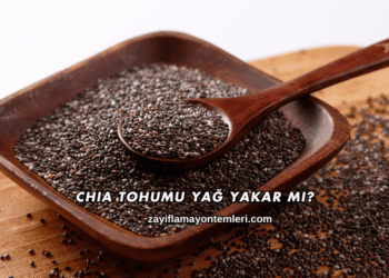 Chia Tohumu Yağ Yakar mı?