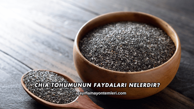 Chia Tohumunun Faydaları Nelerdir?