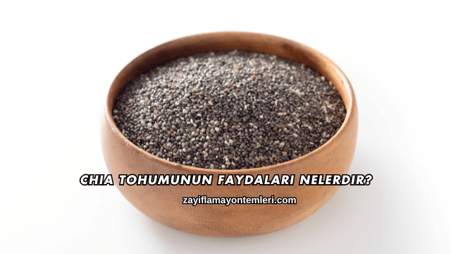 Chia Tohumunun Faydaları Nelerdir?